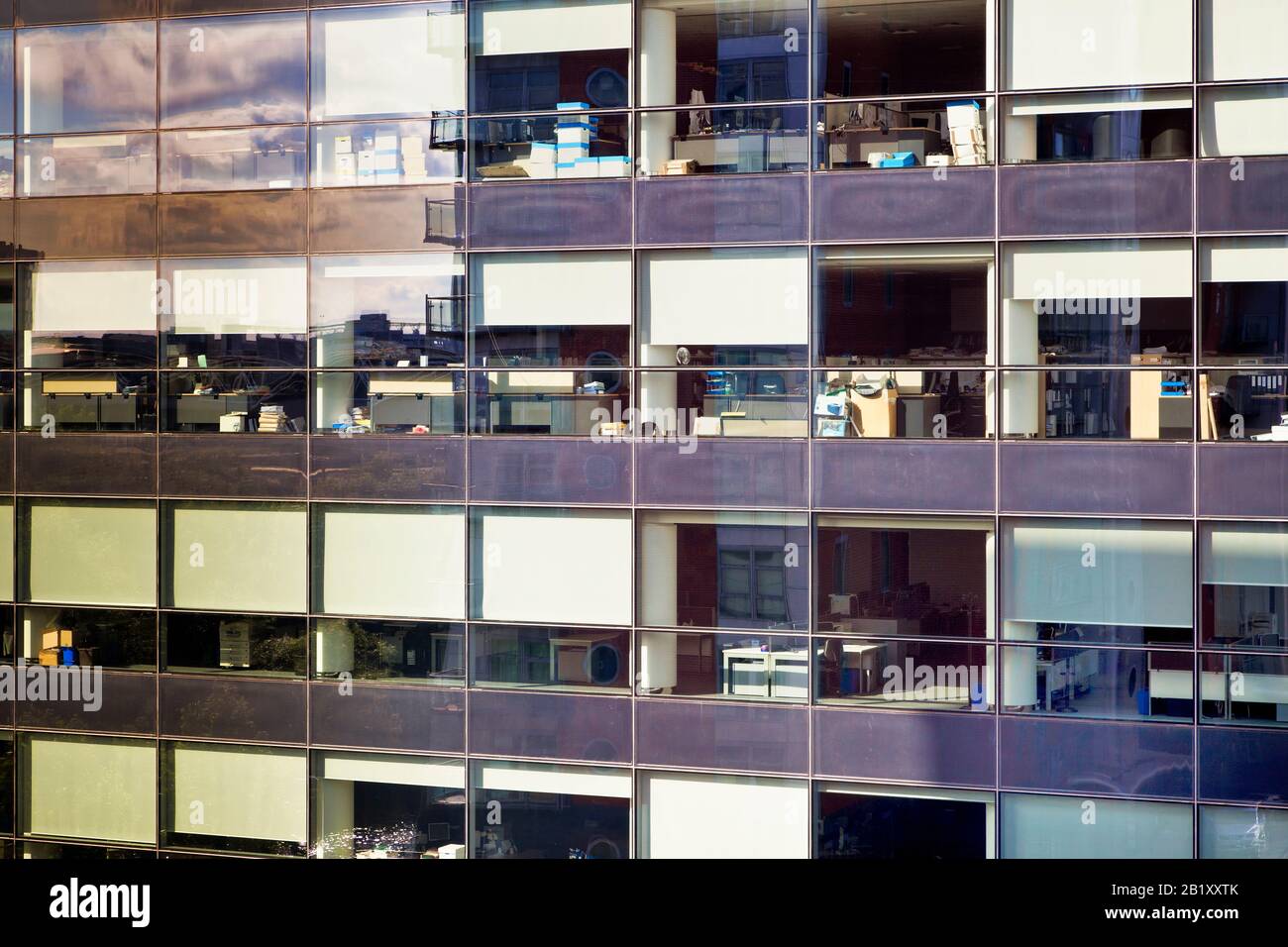 Moderno edificio esterno con facciata in vetro per uffici, finestre per uffici, Regno Unito Foto Stock