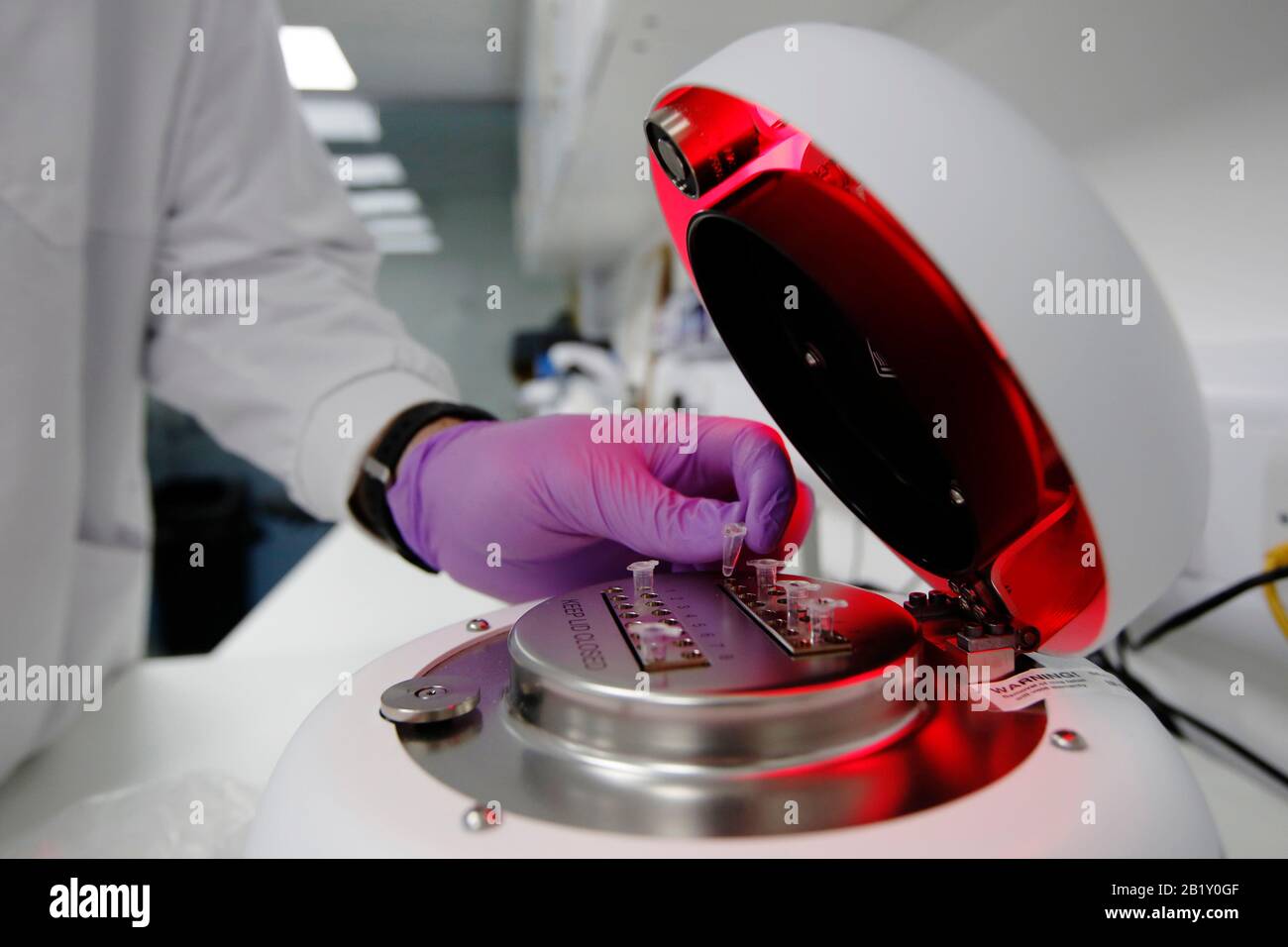 Un associato di ricerca colloca le provette in uno strumento qPCR (quantitative polimerasi chain reaction), che identifica una reazione positiva nei pazienti con Foto Stock