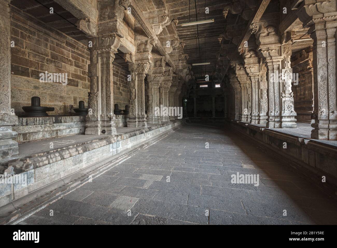 Lingams e colonne nel tempio indù Foto Stock