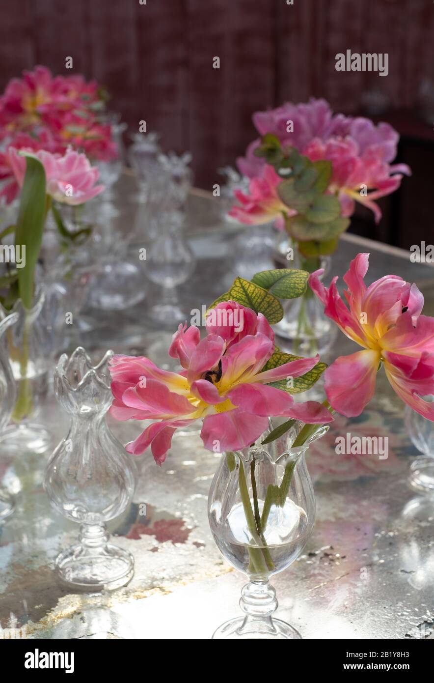 Tavolo decorato con fiori rosa azalea in vasi di cristallo di vetro. Foto Stock