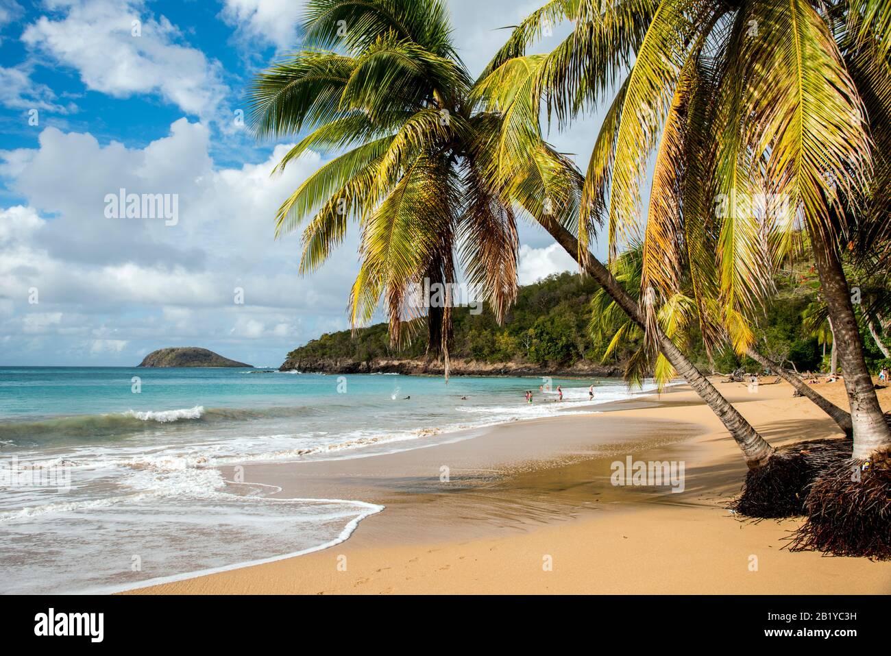 Anse de la Perle, morte in Paradise Beach, Saint Marie, Deshaies, Guadalupa Foto Stock