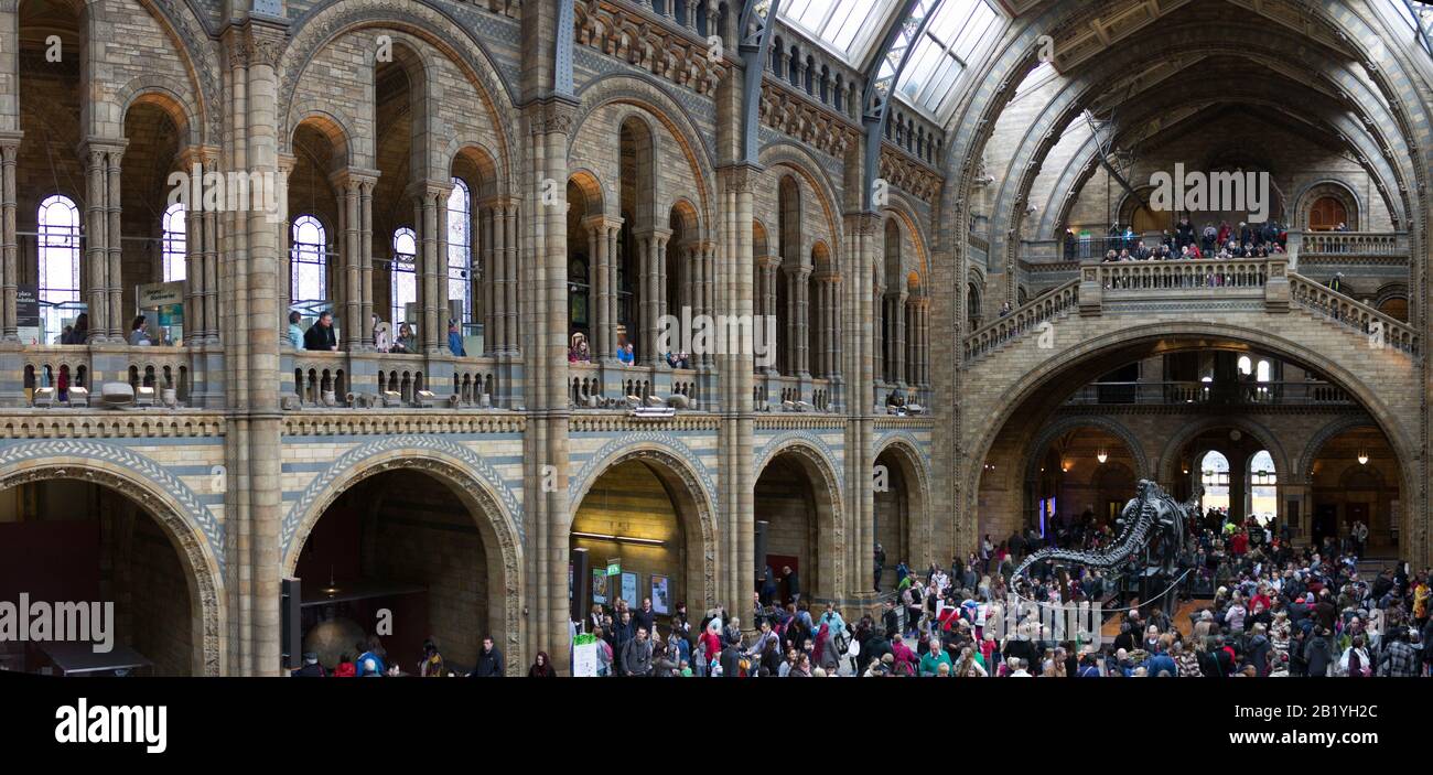 Regno Unito, Inghilterra, Londra, Museo di Storia Naturale Foto Stock