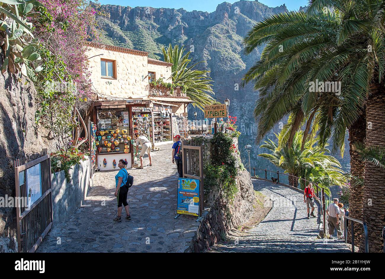 Masca Rd, Tenerife, Isole Canarie, Spagna Foto Stock