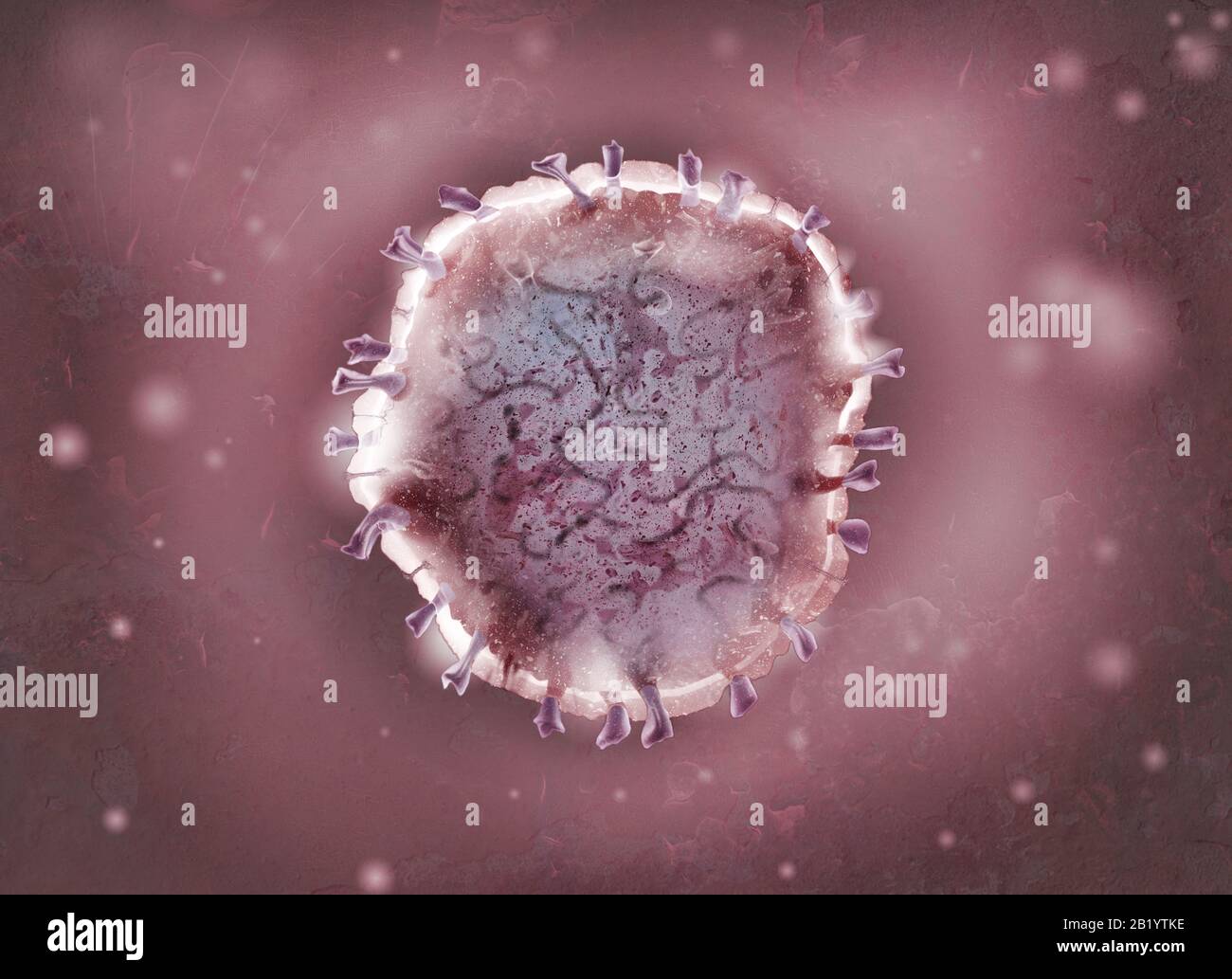 Il coronavirus a RNA a filamento singolo infetterà uccelli e molti mammiferi, inclusi gli esseri umani Foto Stock