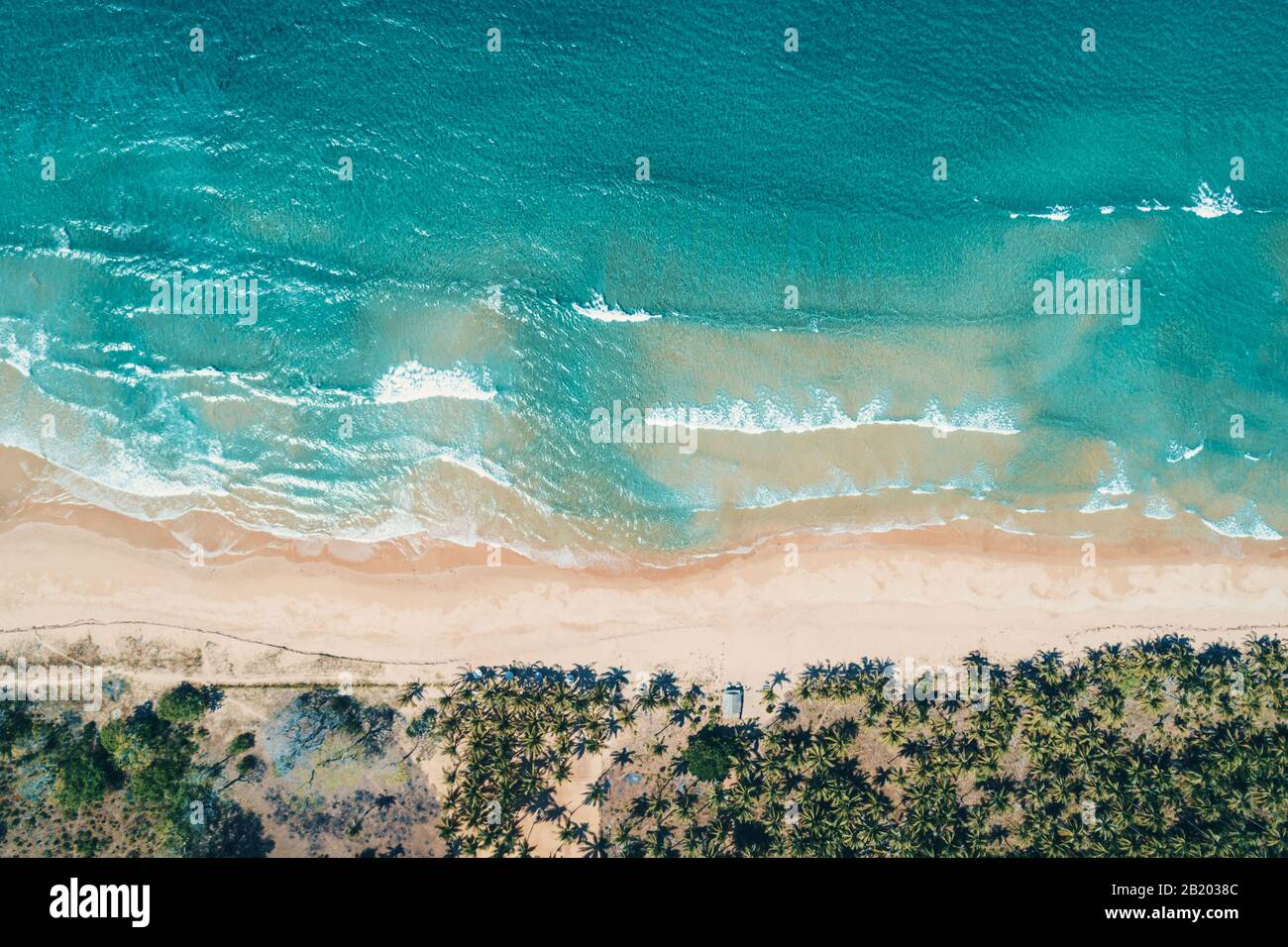 Vista aerea di spiaggia sabbiosa tropicale e il blu oceano. Vista superiore dell'oceano onde raggiungere riva sulla giornata di sole. Palawan, Filippine. Foto Stock