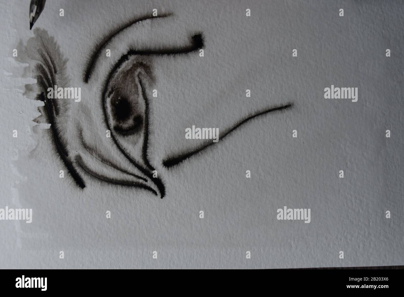 Sequenza di disegno con penna per immersione in India inchiostro su carta acquerello umida con diffusione di inchiostro. Foto Stock