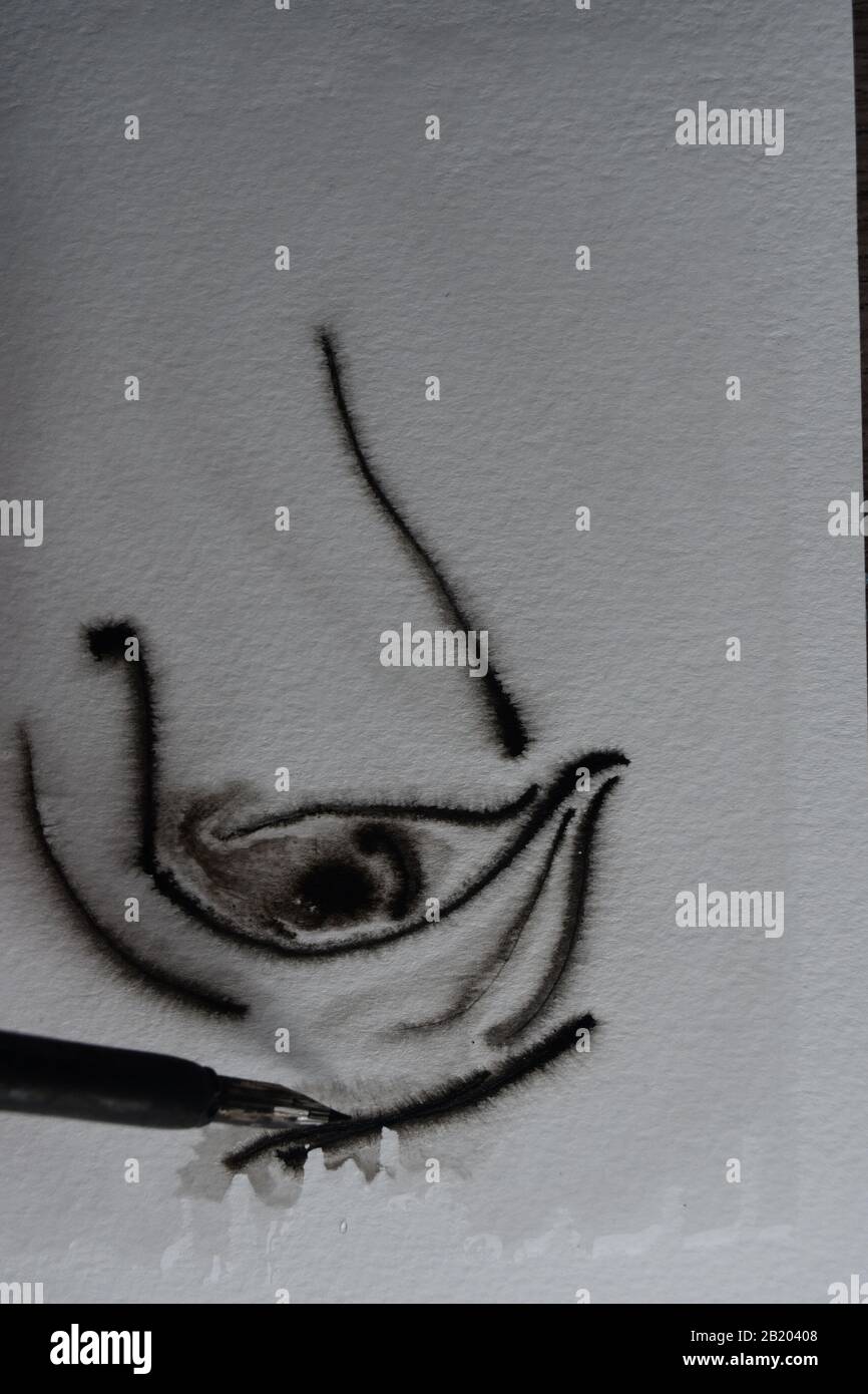 Sequenza di disegno con penna per immersione in India inchiostro su carta acquerello umida con diffusione di inchiostro. Foto Stock