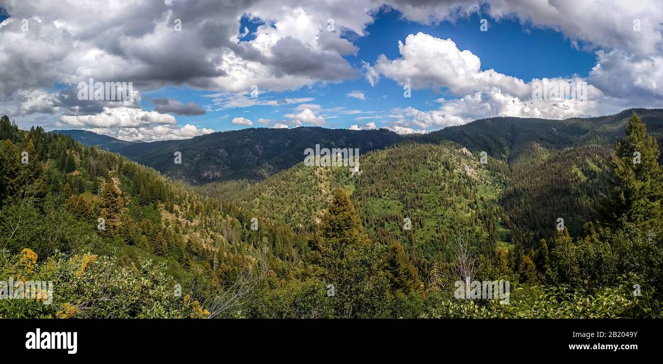Guardando attraverso un'enigma nella Boise National Forest, Idaho, Stati Uniti Foto Stock