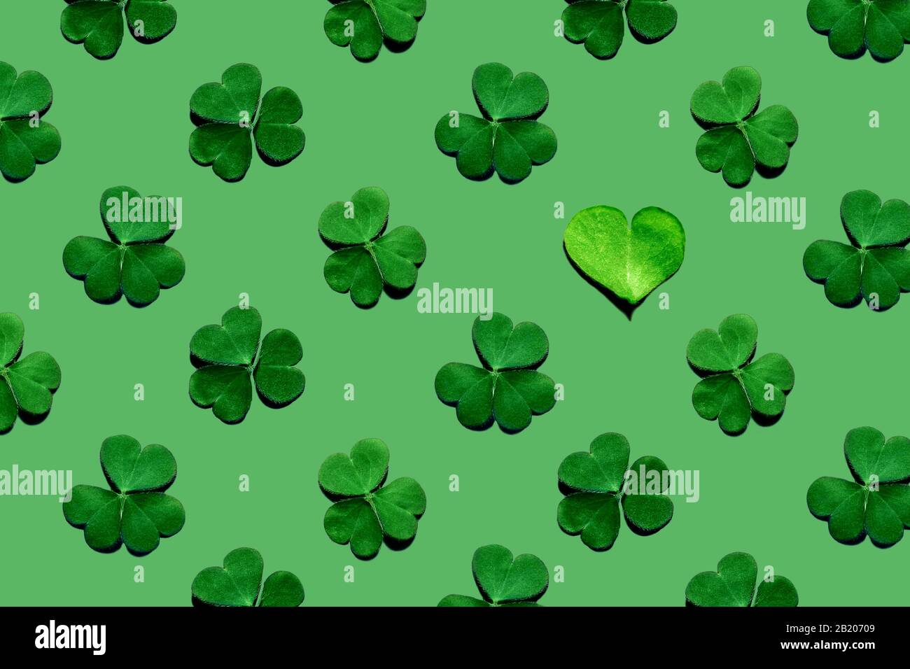 Modello di foglie di shamrock e una foglia a forma di cuore su sfondo verde. Giornata di San Patrizio, focus selettivo. Foto Stock