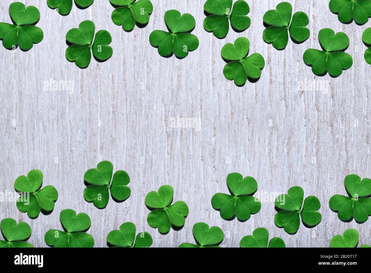Modello di foglie di shamrock su sfondo bianco shabby legno con spazio libero copia. Giornata di San Patrizio, focus selettivo. Foto Stock