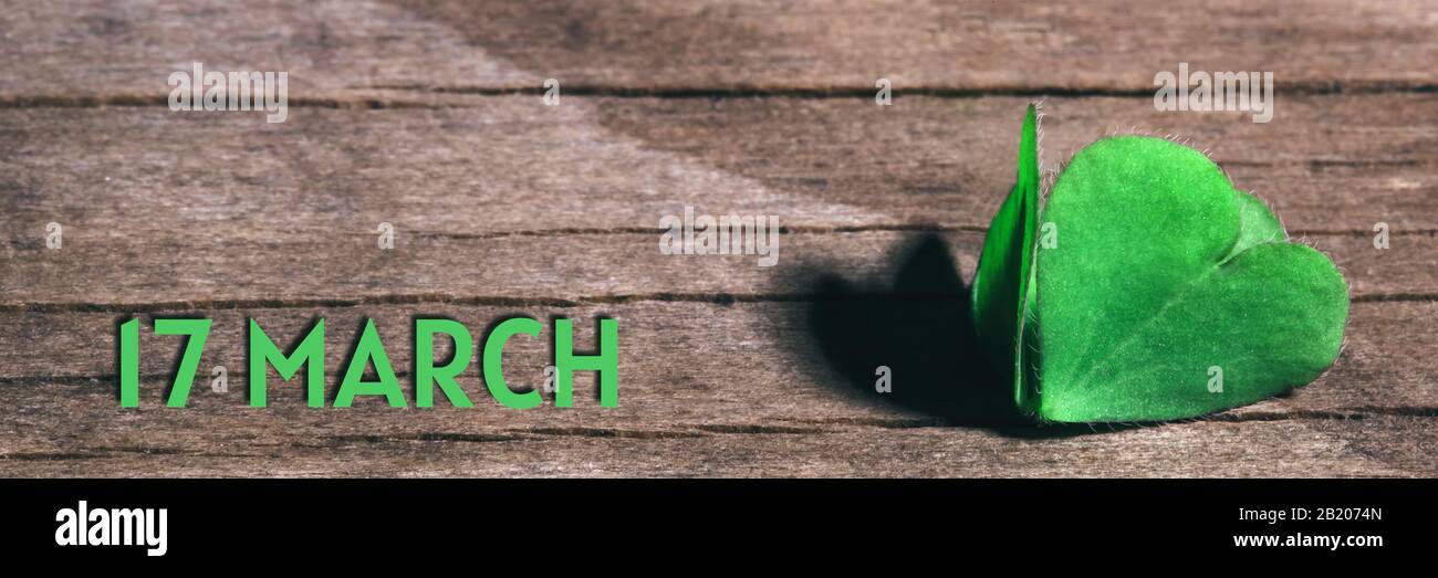 Shamrock foglia su sfondo di legno shabby. Firma 17 Marzo. Giornata di San Patrizio, fuoco selettivo, vista panoramica, banner. Foto Stock