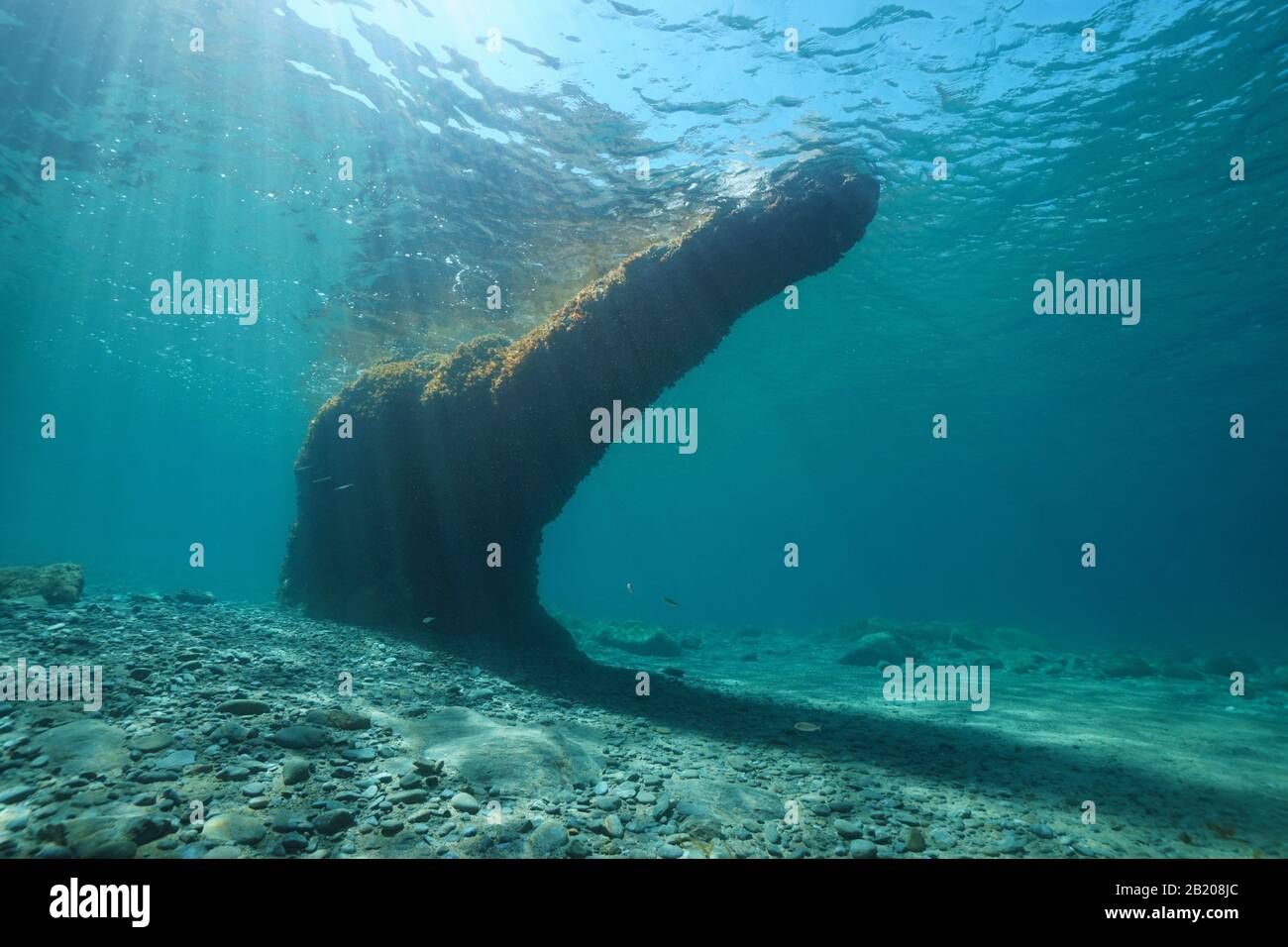 Strana forma rocciosa sott'acqua sotto la superficie nel Mediterraneo, Francia, occitanie Foto Stock