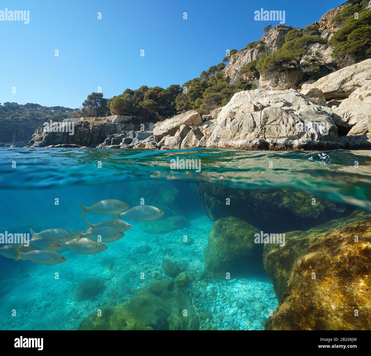 Mare Mediterraneo, costa rocciosa con pesce sott'acqua, vista su e sotto la superficie dell'acqua, Spagna, Costa Brava, Roses, Catalogna Foto Stock