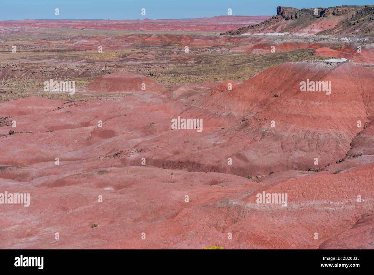 Paesaggio ad alto angolo di colline di pietra rosa arida al Parco Nazionale della Foresta pietrificata in Arizona Foto Stock