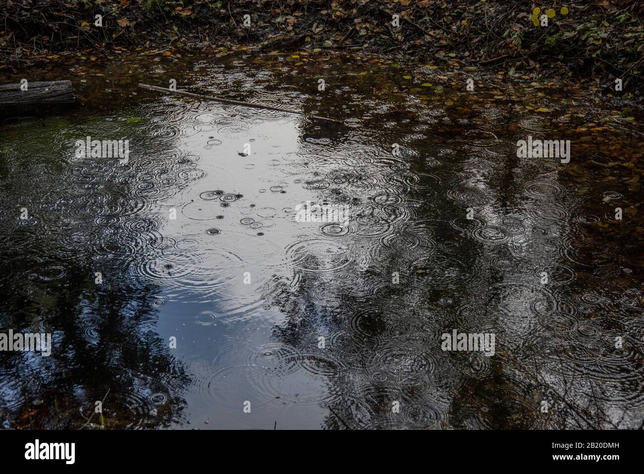 Gocce di pioggia su acqua Foto Stock