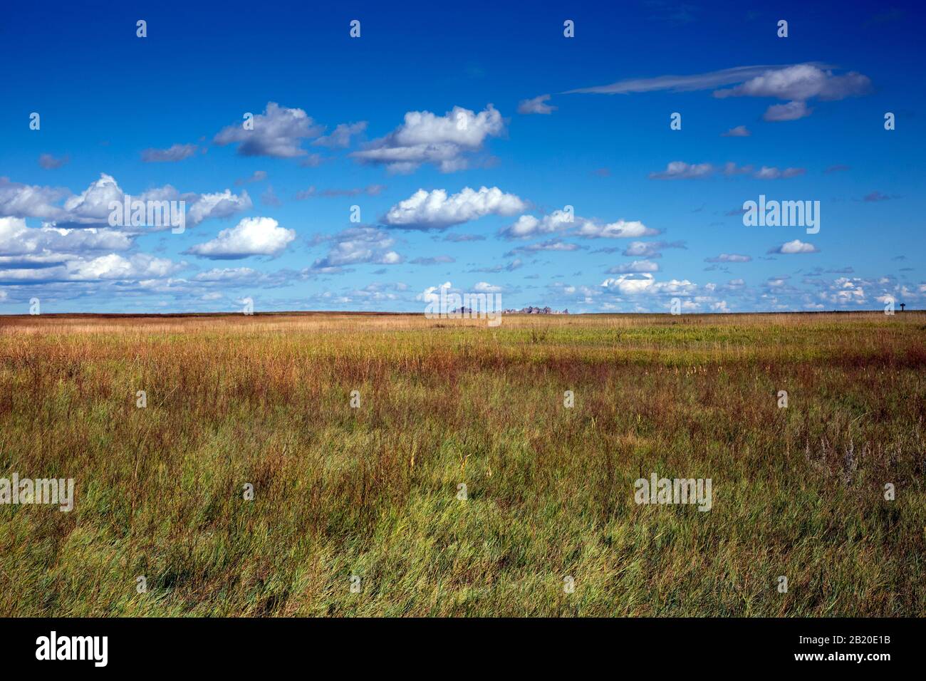 SD00219-00...SOUTH DAKOTA - pianure coperte di erba viste dal Prairie Wind Overlook, una sosta lungo la Badlands Loop Road nel Badlands National Park. Foto Stock
