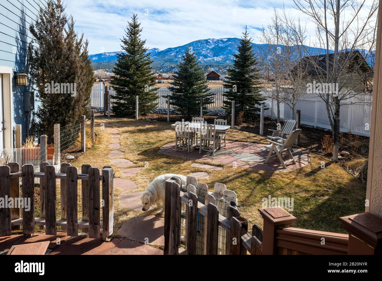 Vista della montagna Metodista dal cortile e dai giardini di una residenza privata nella piccola cittadina montana di Salida, Colorado, Stati Uniti. Oro di colore platino Foto Stock