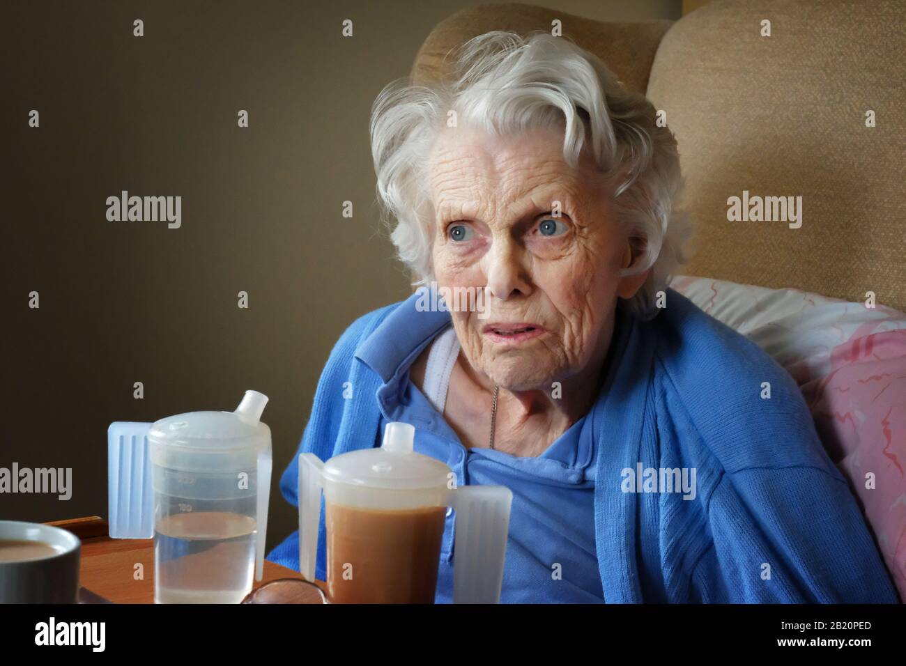 Ritratto di una vecchia signora che soffre di demenza - John Gollop Foto Stock