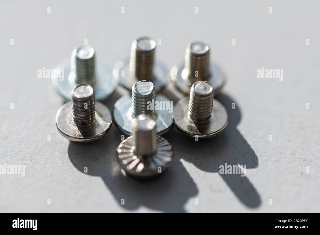 alcune piccole viti allineate nella luce con sfondo grigio Foto Stock