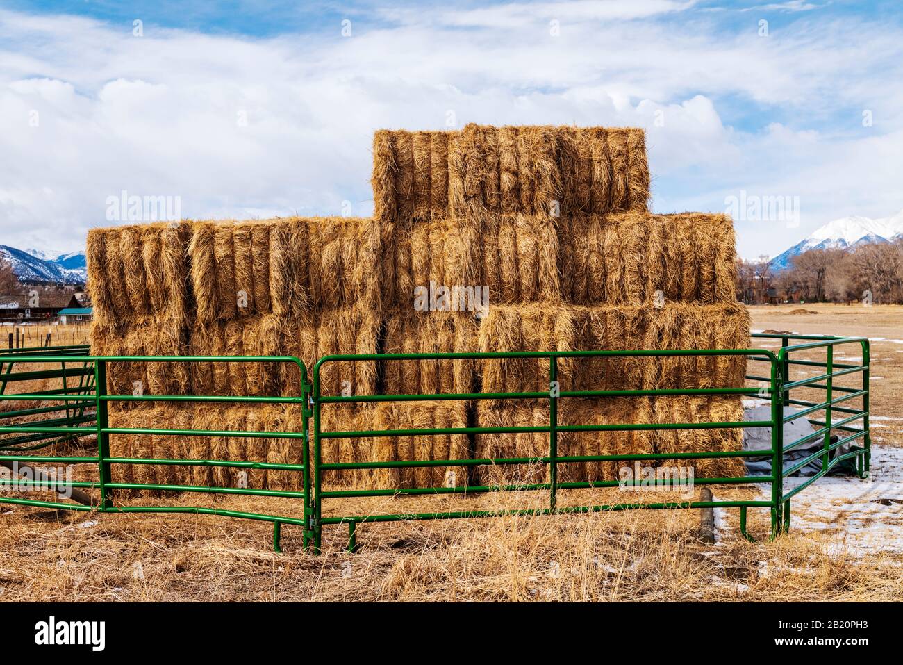Balle di fieno impilati per uso invernale; Vandaveer Ranch; vicino a Salida; Colorado; USA Foto Stock