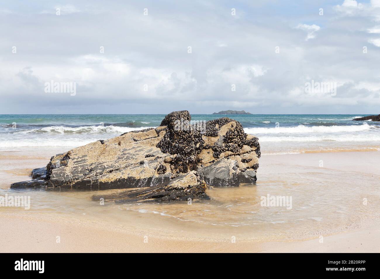 Una grande roccia esposta a bassa marea, coperta di cozze. Harlyn Bay, North Cornwall, Regno Unito. Foto Stock