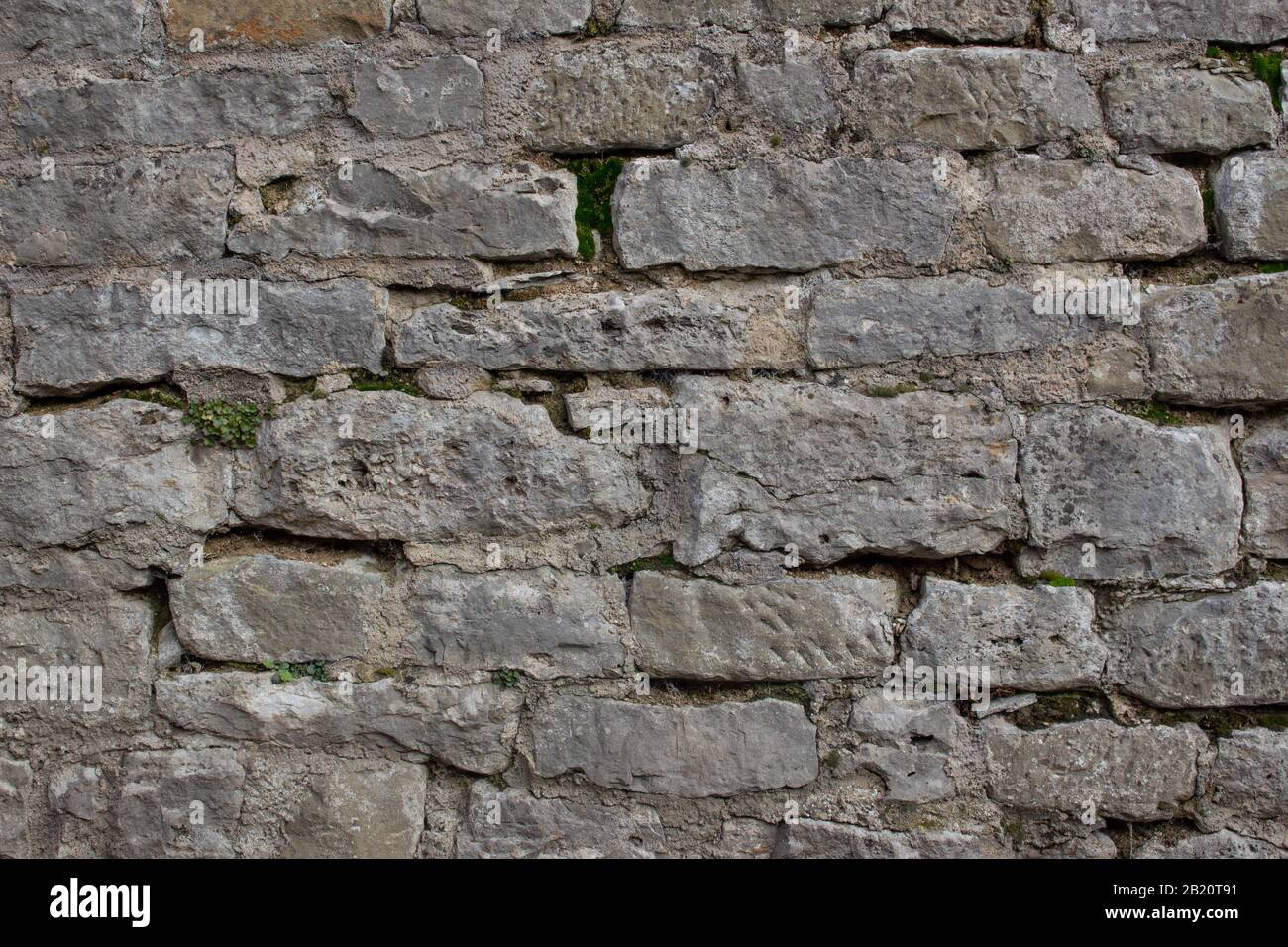 Vecchio muro di pietra naturale con piante e muschio che crescono dallo sfondo crepe Foto Stock