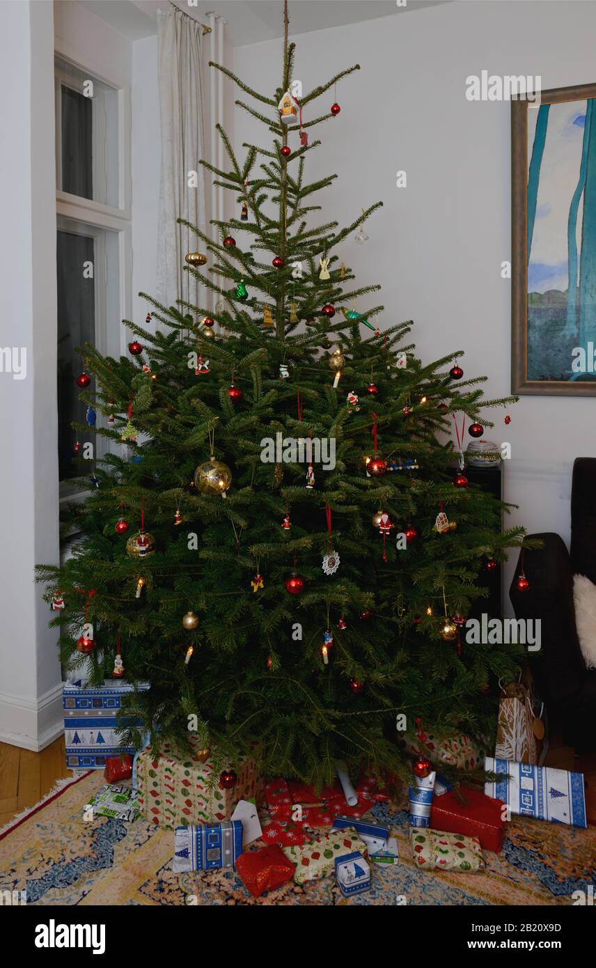 Weihnachtsbaum Foto Stock