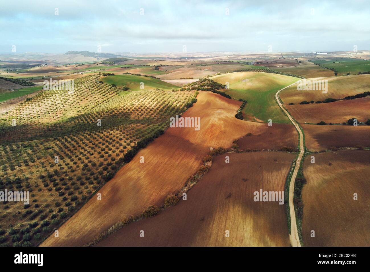 Foto aerea campi agricoli a Siviglia. Andalusia, Spagna Foto Stock