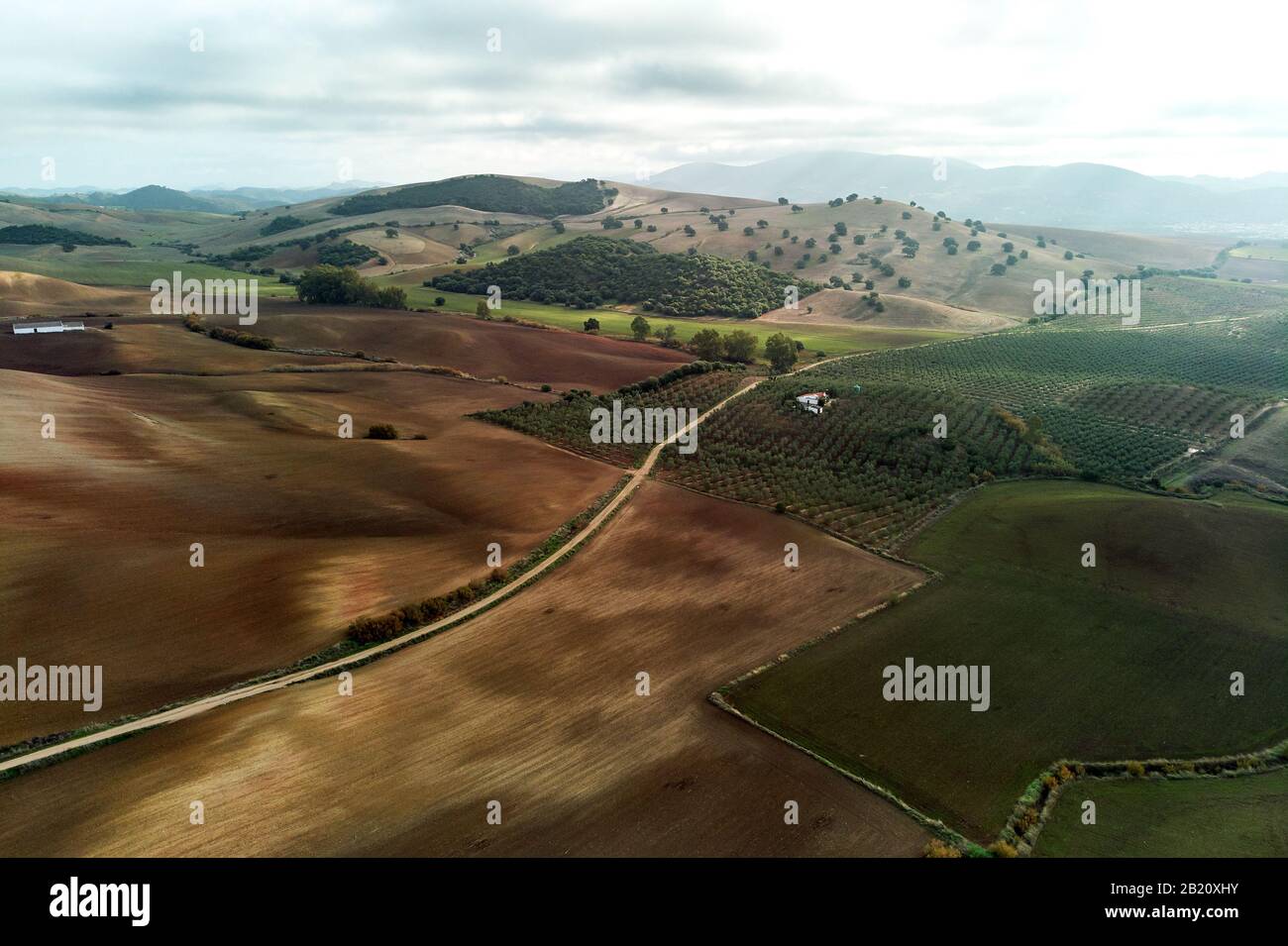 Foto aerea campi agricoli a Siviglia. Andalusia, Spagna Foto Stock