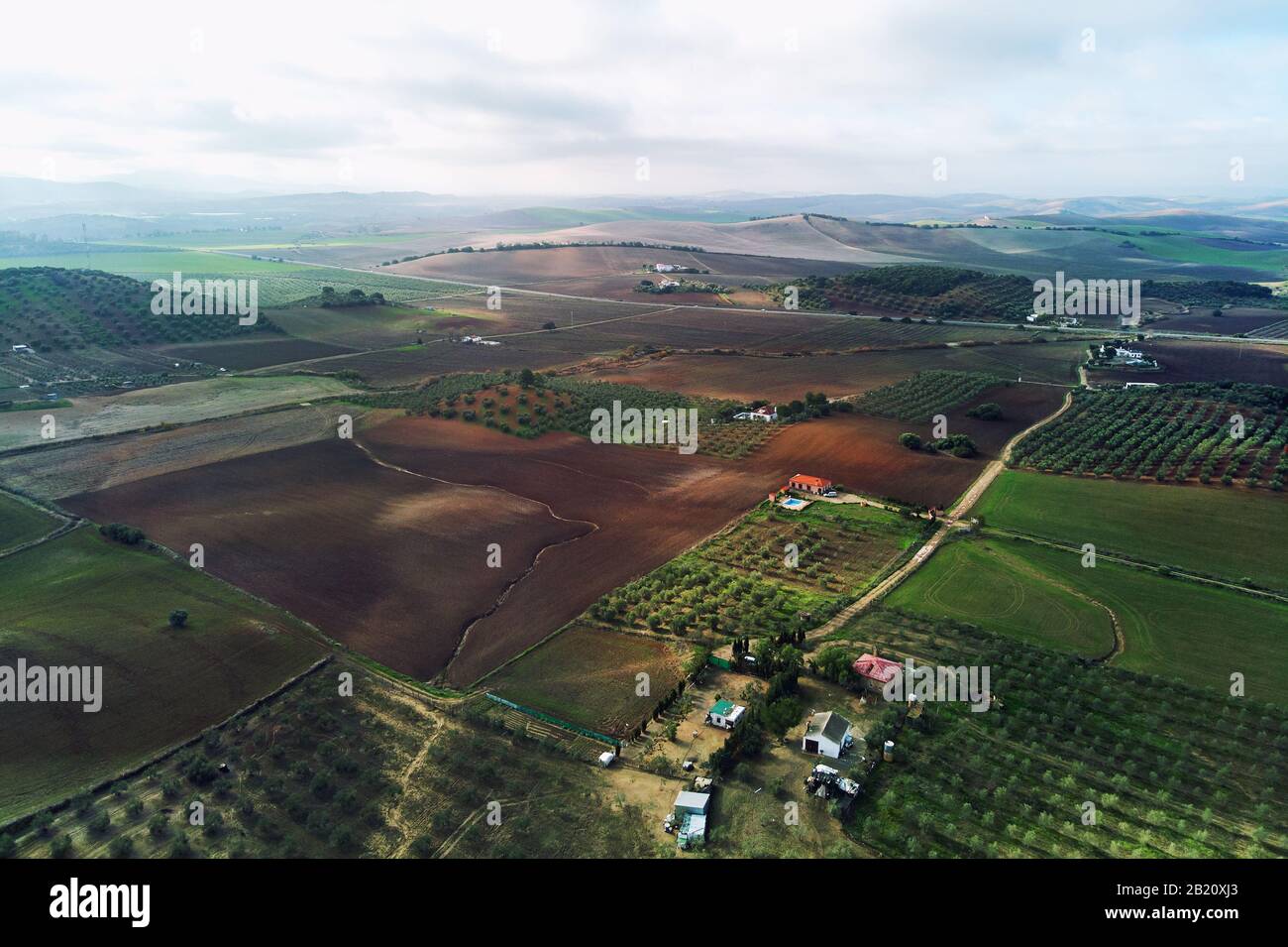 Foto aerea campi agricoli a Siviglia. Andalusia, Spagna Foto Stock