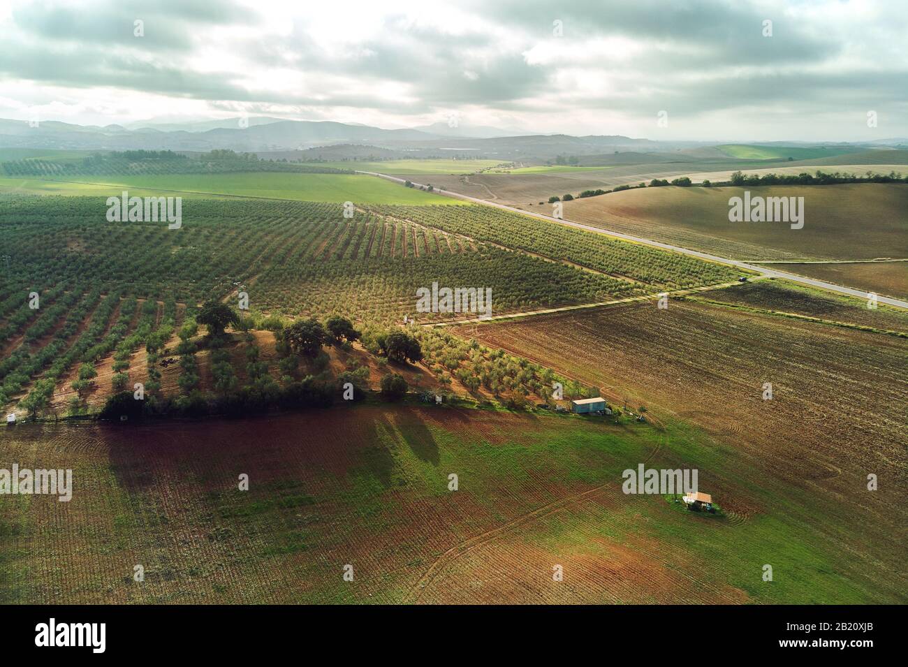 Foto aerea campi agricoli a Siviglia. Andalusia, Spagna Foto Stock