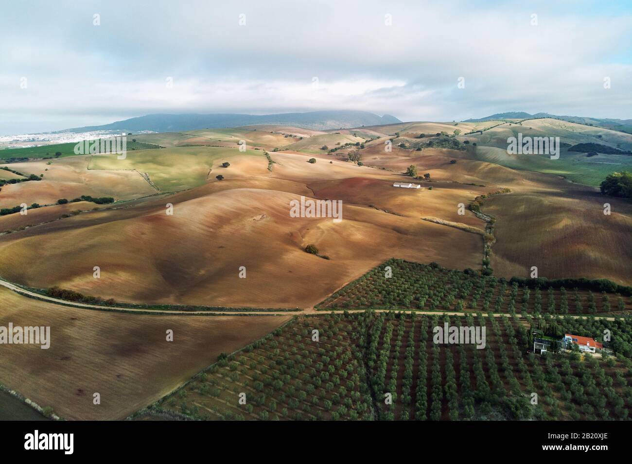 Foto aerea campi agricoli a Siviglia. Andalusia, Spagna Foto Stock
