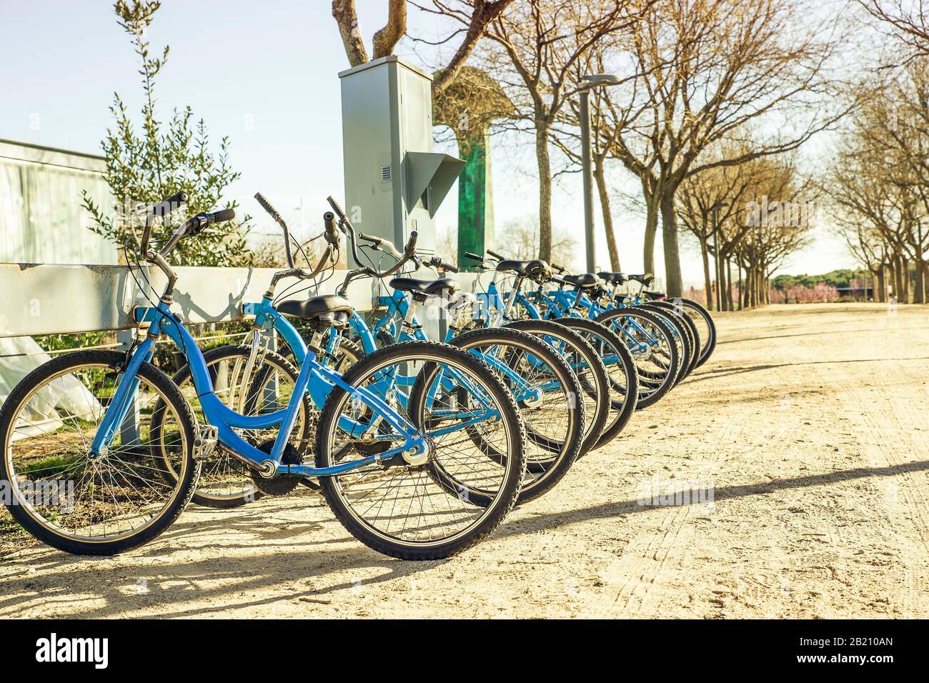 trasporto ecologico e personale in città. biciclette blu in una giornata di sole Foto Stock
