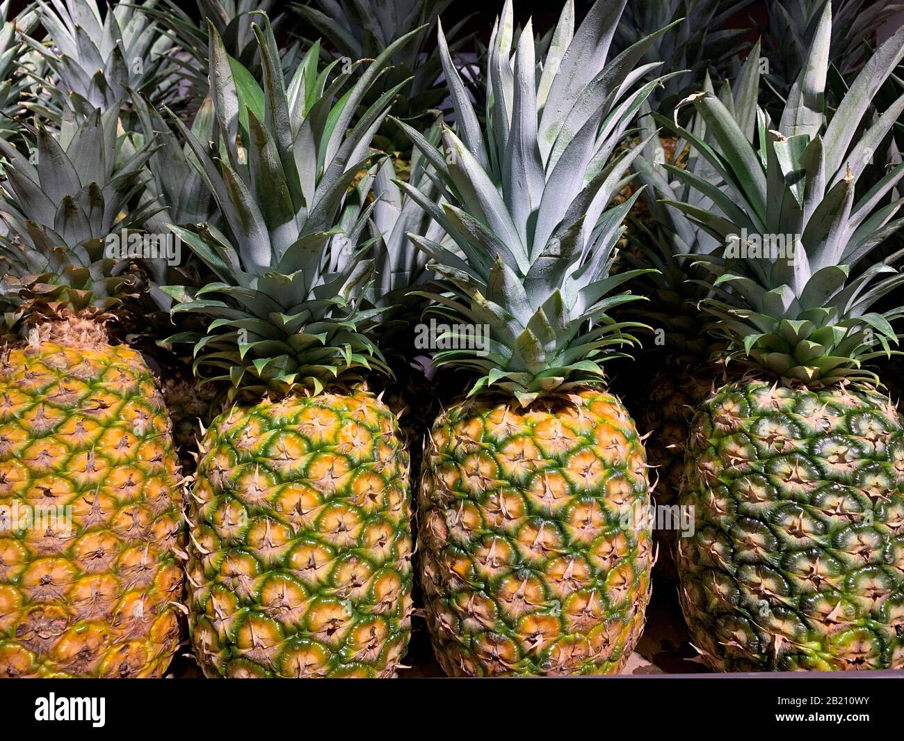 Close-Up Di Ananas In Vendita In Supermarket , Panama, America Centrale Foto Stock