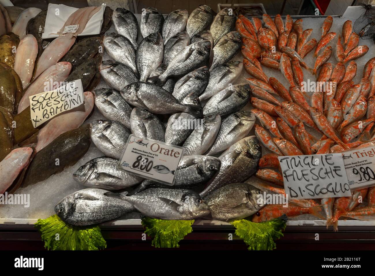 Orate fresche (Bramidae) triglie destre (Mugilidae), sinistra sogliola (Solea solea) su ghiaccio, mercato del pesce Venezia, Veneto, Italia Foto Stock