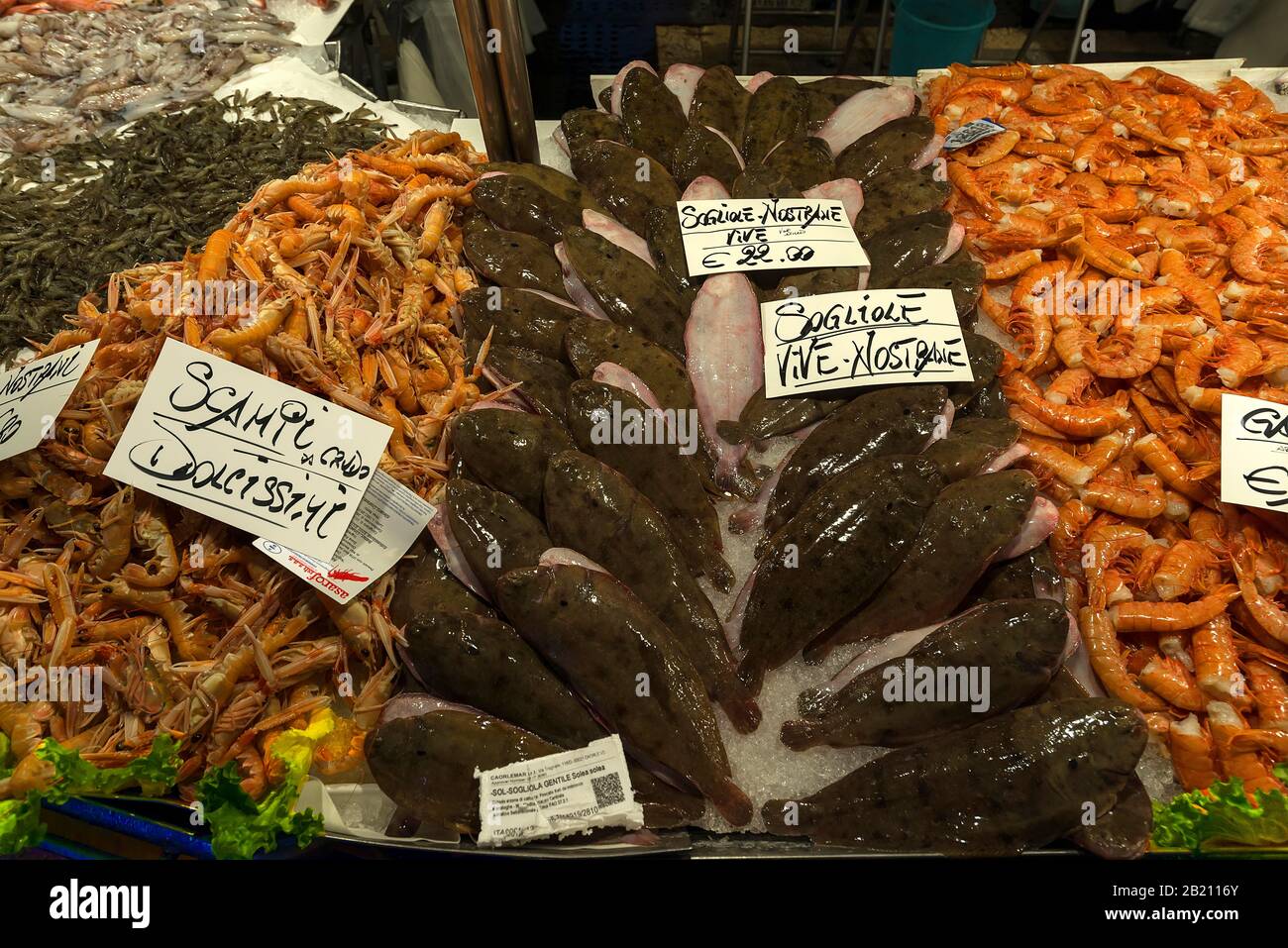 Flounders europei freschi (Platichthys flesus), scampi di sinistra (scampo), aragoste di destra (Palinuridae) su ghiaccio, mercato del pesce, Veneto, Italia Foto Stock
