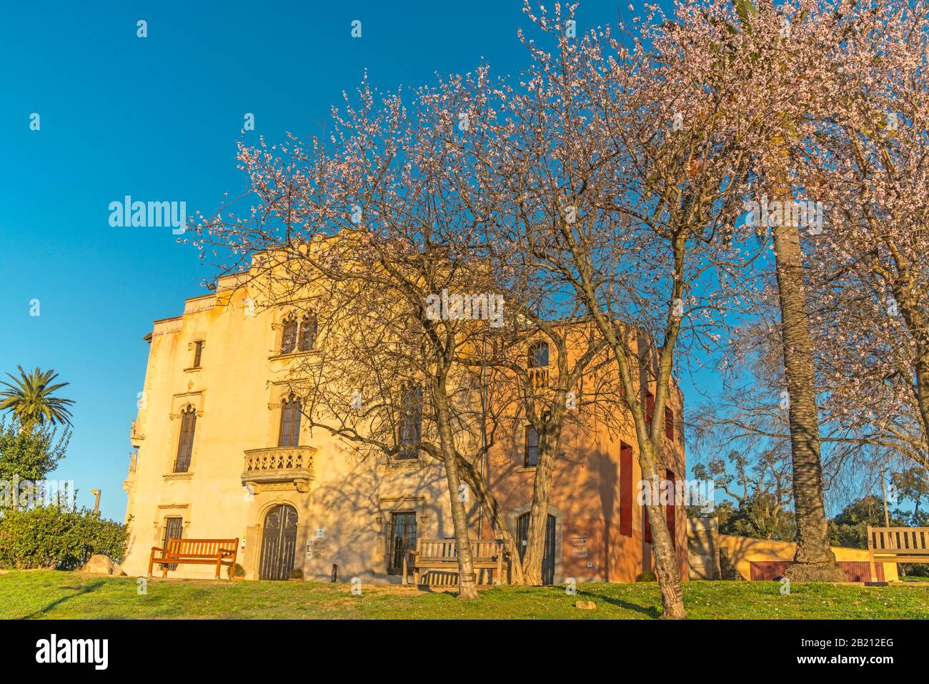 I FIORI PRIMAVERILI POSSONO SARAGOZZA MUSEO MUNICIPALE LLORET DE MAR COSTA BRAVA GIRONA CATALOGNA SPAGNA Foto Stock