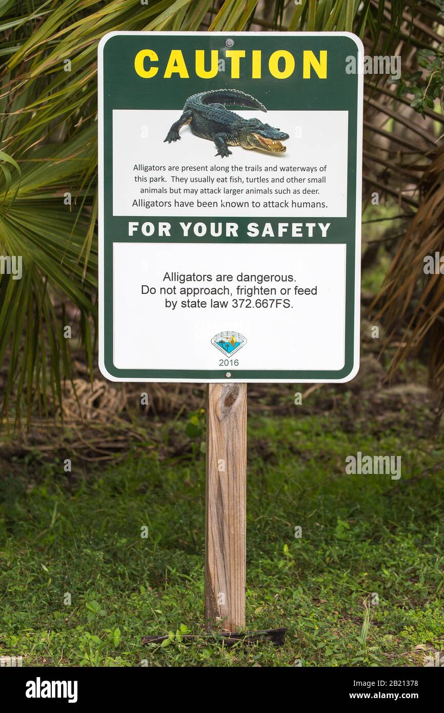 Cartello segnaletico alligatori, alligatori a raggio libero, Myakka River state Park, Florida, USA Foto Stock