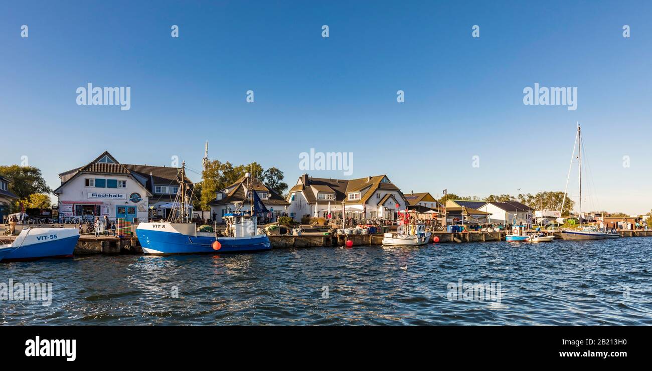 Pescherecci nel porto, Fischerhafen, Vitte, Insel Hiddensee, Mecklenburg-Vorpommern, Germania Foto Stock