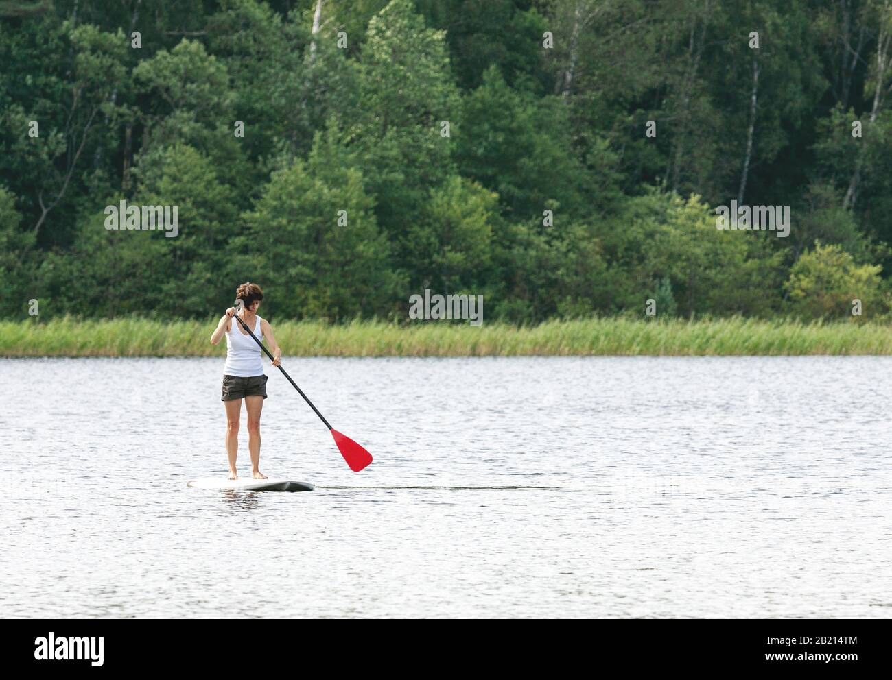 Donna di mezza età in stand up paddle board nel lago, SUP surf in estate, immagini di vita reale con spazio copia Foto Stock