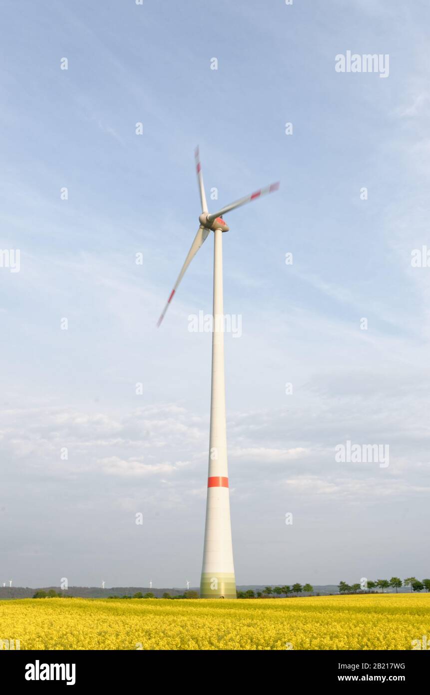 turbina eolica su un campo di colza con le ali in movimento Foto Stock turbina eolica su un campo di colza con le ali in movimento Foto Stock
