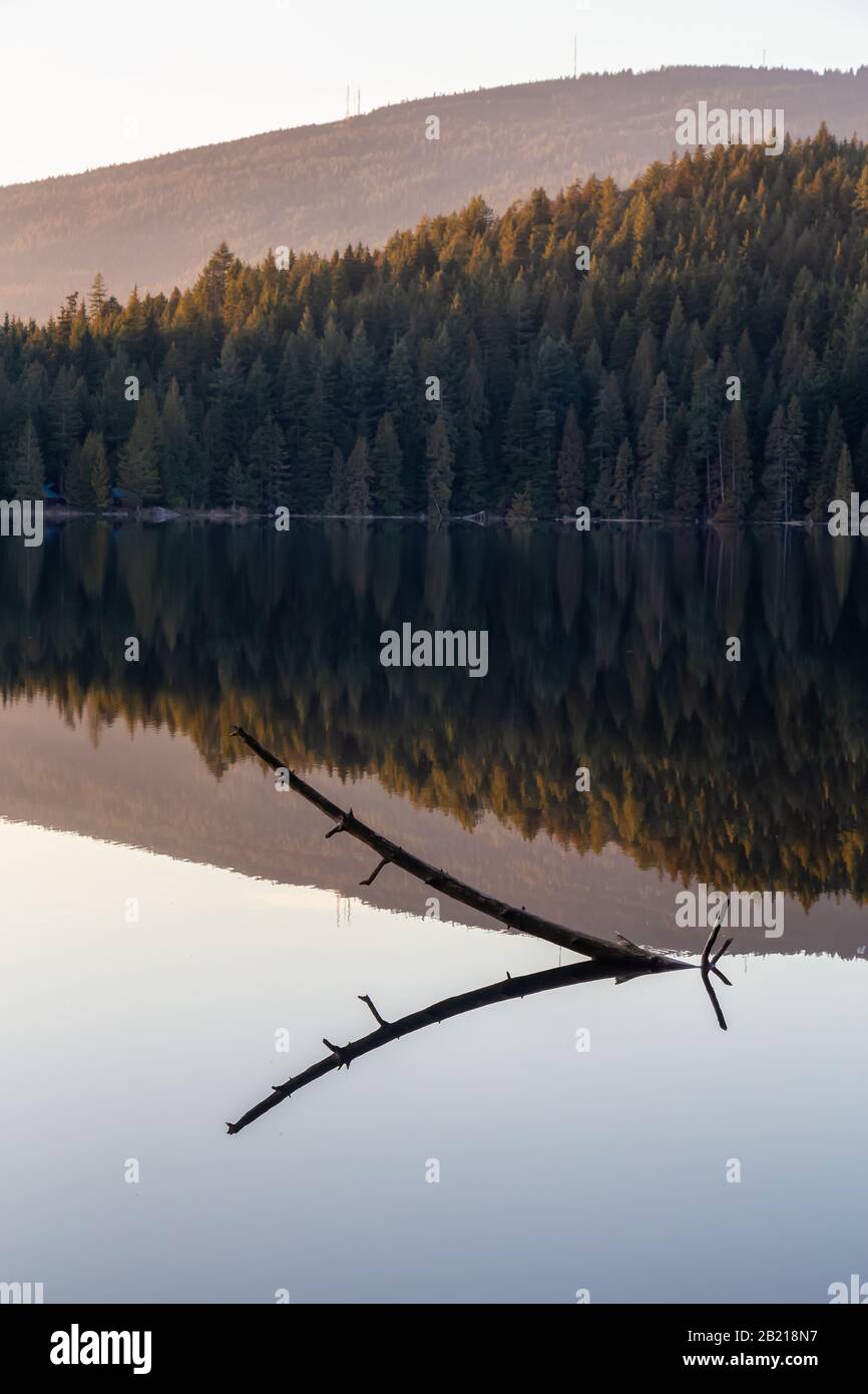 Splendidi E Vivaci boschi verdi con alberi freschi vicino a un lago al tramonto. Preso In White Pine Beach, Port Moody, Vancouver, British Columbia, Cana Foto Stock