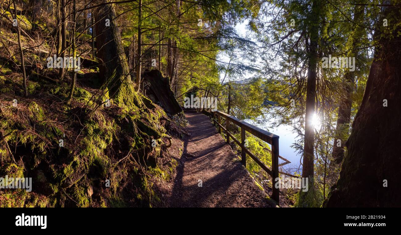 Splendidi E Vivaci boschi verdi con alberi freschi vicino a un lago al tramonto. Preso In White Pine Beach, Port Moody, Vancouver, British Columbia, Cana Foto Stock