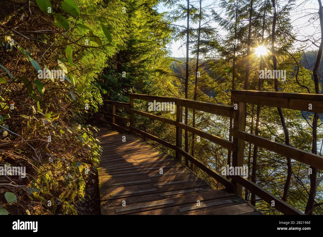 Bellissimo e Vibrante Trail nel Green Woods con alberi freschi vicino a un lago durante il tramonto. Preso In White Pine Beach, Port Moody, Vancouver, British C. Foto Stock