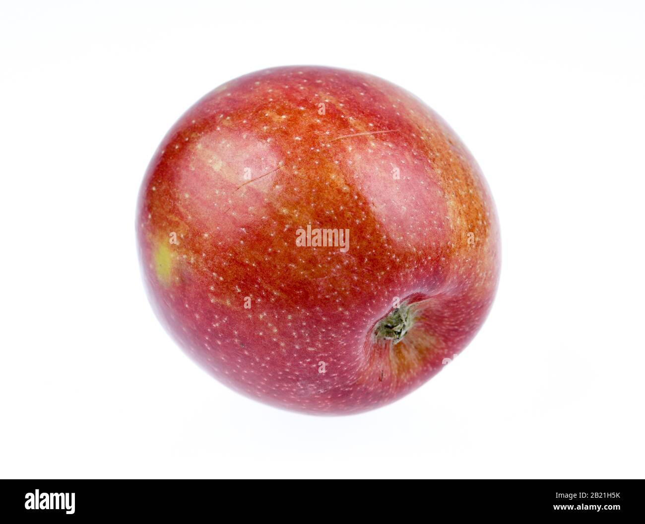 Roter Apfel, Studioaufnahme Foto Stock