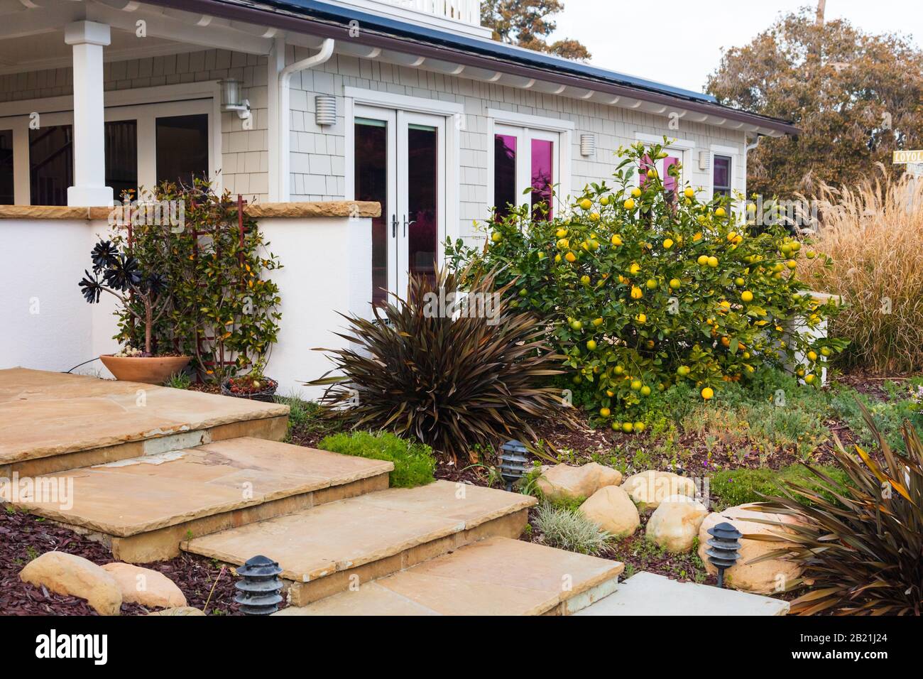Bella casa California esterno con un giardino personalizzato e giardino con una varietà di piantare. Tratto da uno spazio pubblico nel febbraio 2020. Foto Stock