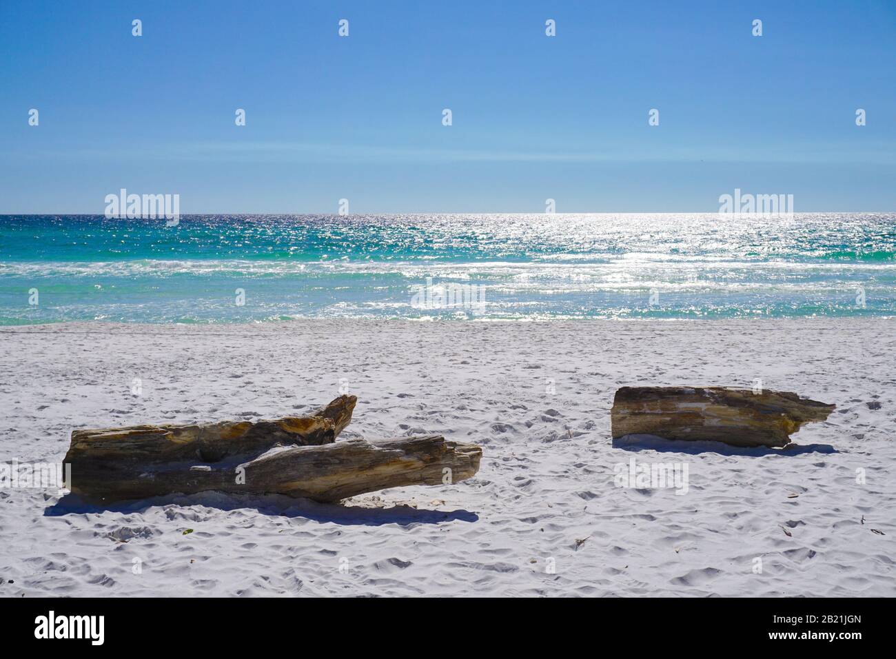 Due Tronchi Seduti Sulla Spiaggia Foto Stock