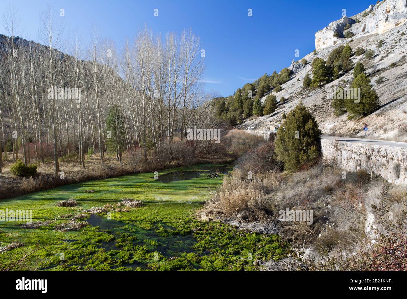 Rio Lobos canyon. Soria, provincia di Castilla y Leon. Spagna Foto Stock