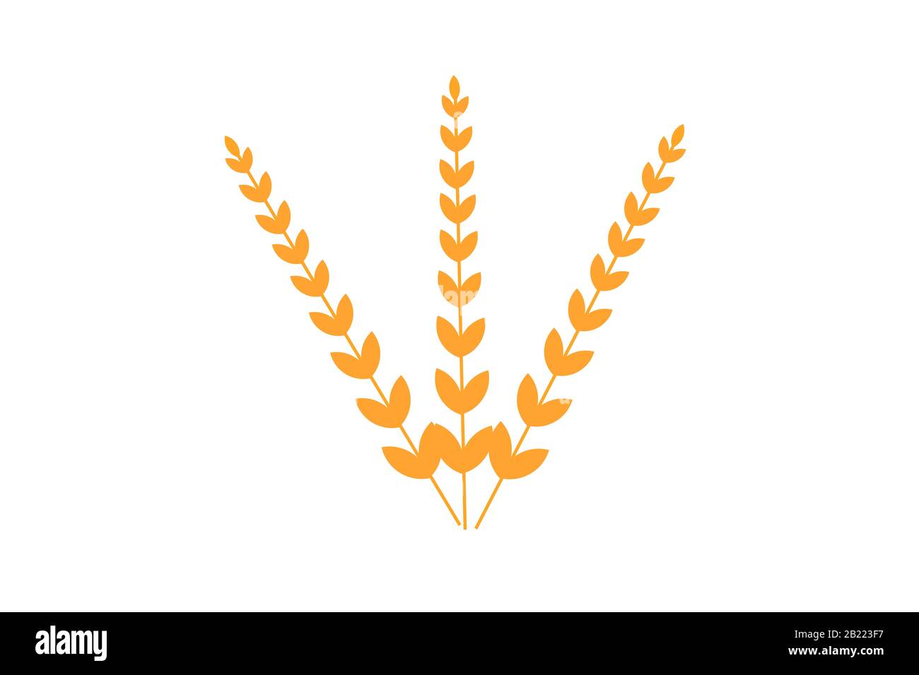 Spighe di grano le icone e il logo Set. Per lo stile di identità di prodotto naturale azienda e azienda agricola. Frumento organico, pane agricoltura naturale e mangiare. Foto Stock