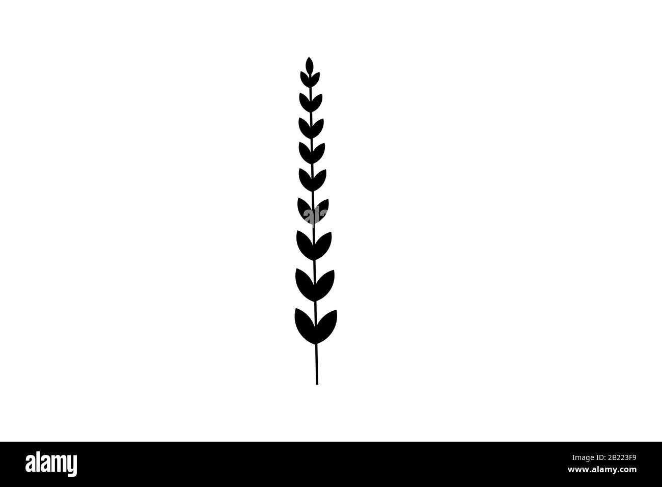 Spighe di grano le icone e il logo Set. Per lo stile di identità di prodotto naturale azienda e azienda agricola. Frumento organico, pane agricoltura naturale e mangiare. Foto Stock